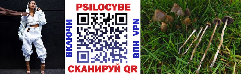 Псилоцибиновые грибы Psilocybine cubensis  Белогорск 